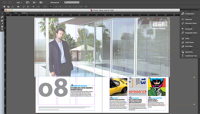 Adobe InCopy CC screenshot